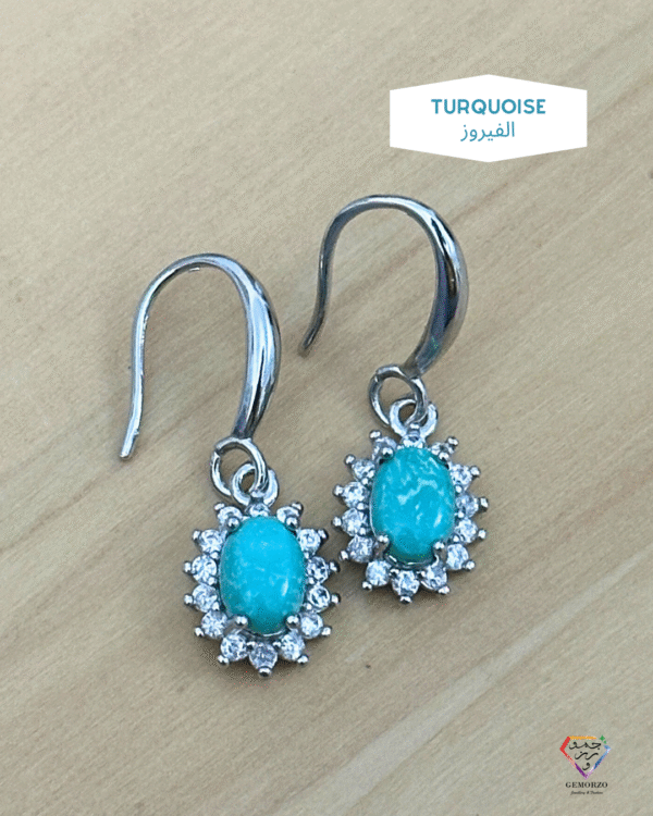 Natural Hubei Turquoise Stone with Zircons Earrings - 316 Stainless Steel