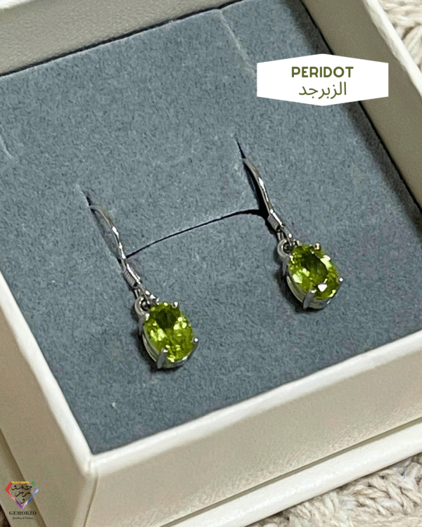 Natural Stone Hanging/ Drop Earrings - Silver925